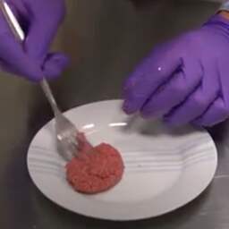 Nederlands bedrijf kweekt echt vlees zonder dieren te slachten
