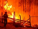 Aanhoudende bosbranden teisteren Chili tijdens recordhittegolf