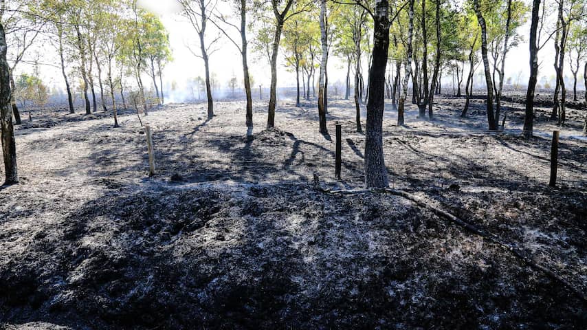 Brand in natuurgebied Deurnese Peel