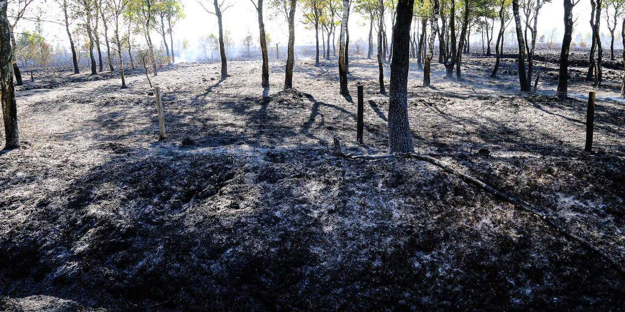 Natuurbrand in Deurnese Peel grootste in Nederland ooit: 800 hectare in de as