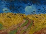 De laatste maanden van Van Gogh: Briljant, maar gekweld door ziekte en angsten