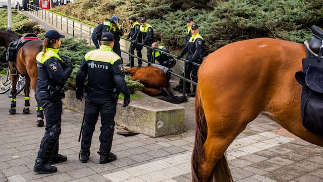 Politiepaard verongelukt bij begeleiding demonstratie Nijmegen.