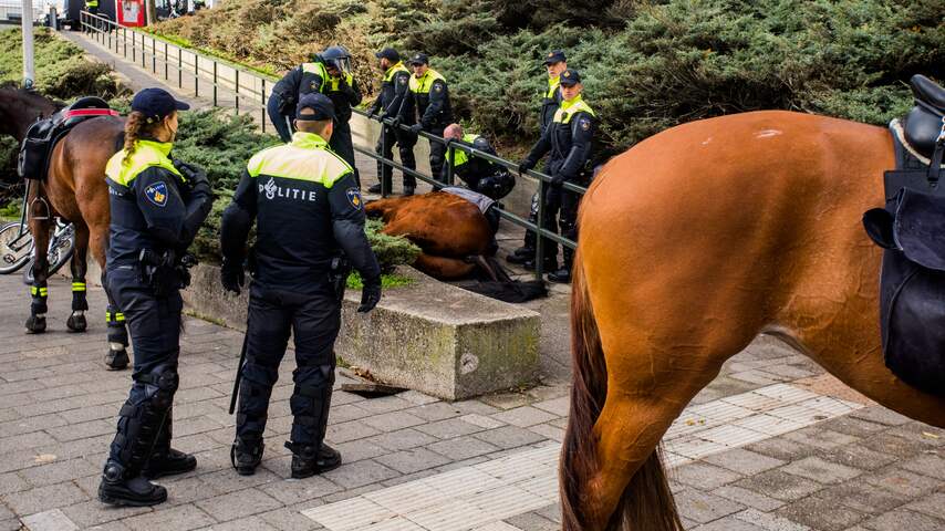 Politiepaard komt om door hartfalen tijdens demonstratie Nijmegen