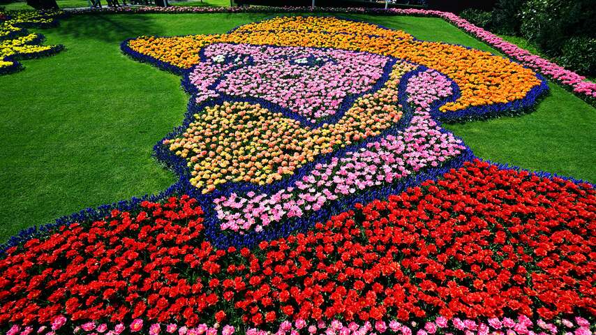 Eerbetoon aan Vincent van Gogh op de Keukenhof
