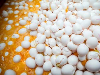 Opnieuw fipronil in Nederlandse eieren gevonden in Duitsland