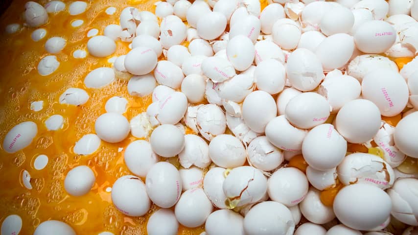 Opnieuw fipronil in Nederlandse eieren gevonden in Duitsland
