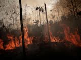 Bolsonaro stuurt leger naar Amazone om bosbranden te bestrijden