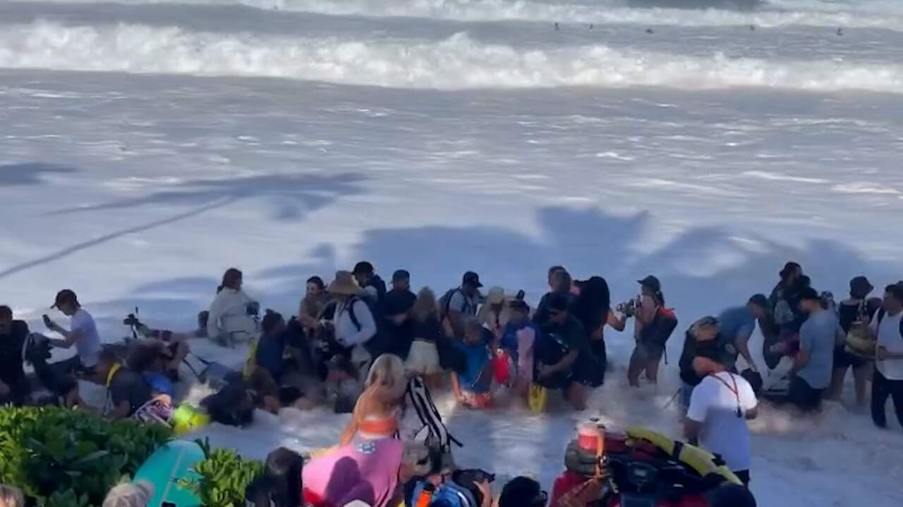 Beeld uit video: Golf overspoelt publiek tijdens surfwedstrijd in Hawaii