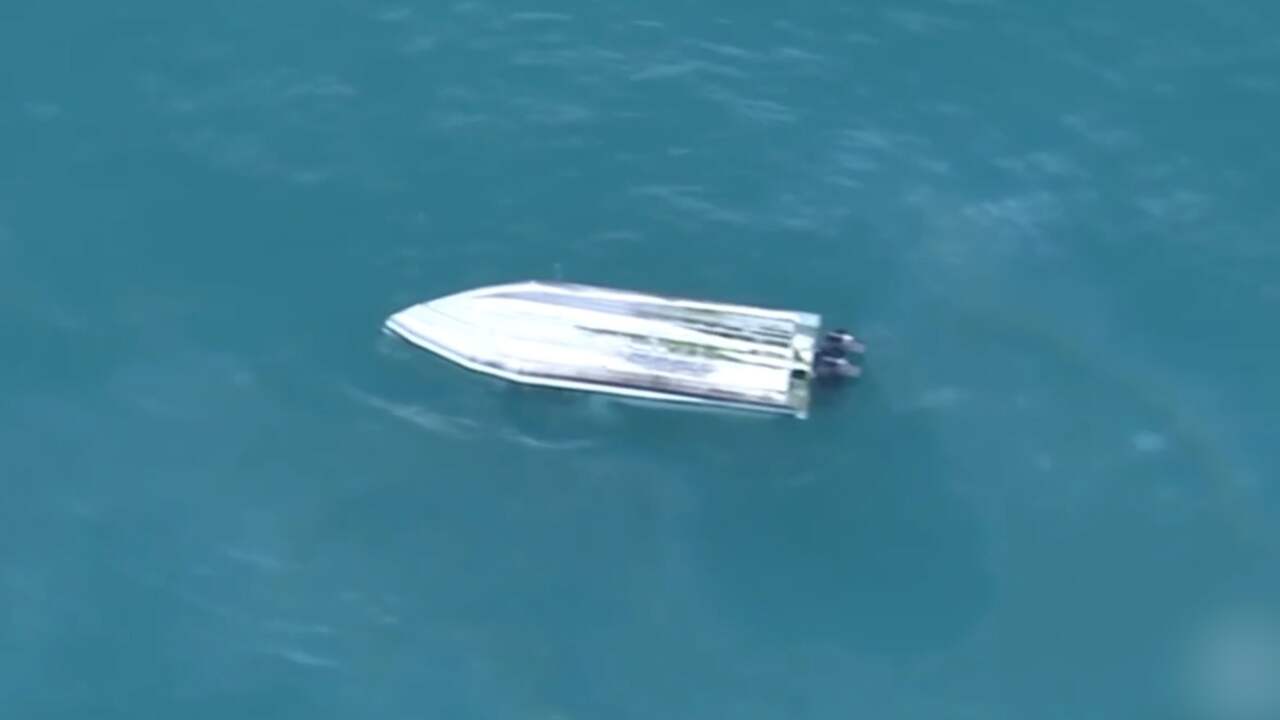 Beeld uit video: Vijf doden na mogelijke botsing met walvis in Nieuw-Zeeland