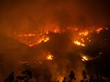 Meerdere mensen, waaronder politieagenten en brandweerlieden, zijn om het leven gekomen bij bosbranden in het Zuid-Amerikaanse Chili.