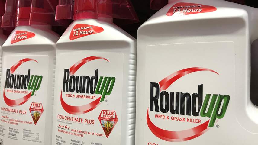 Roundup, Bayer, Monsanto, 