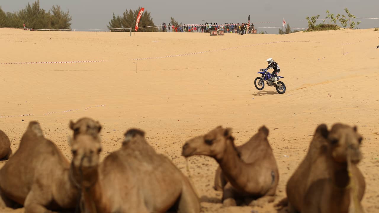 Dit zijn de etappes en de Nederlandse deelnemers van de Dakar Rally 2024 Sport Overig NU.nl