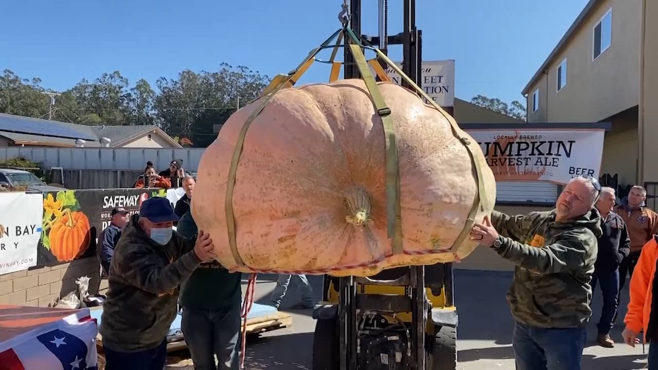 Beeld uit video: Amerikaan wint wedstrijd met enorme pompoen van 993 kilo