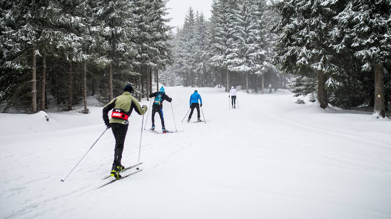 Ukrainian refugees must give way to politicians skiing in the Czech Republic |  Abroad