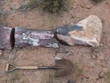 Een van de grootste dinosaurussoorten ooit ontdekt in Argentinië
