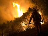2019 wordt recordjaar voor bosbranden; komt dat door klimaatverandering?