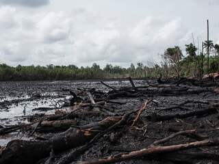 Schoonmaak Niger Delta na olievervuiling begint binnen enkele weken