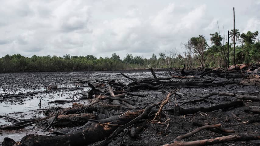Schoonmaak Niger Delta na olievervuiling begint binnen enkele weken