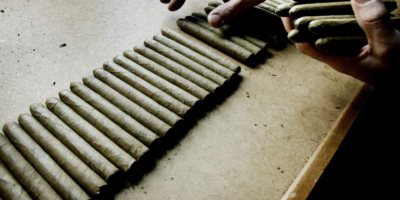 Sigarenimporteur Cubacigar ziet omzet in Nederland flink stijgen