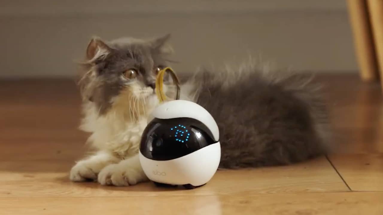 Autonome robot speelt met je kat als je niet thuis bent