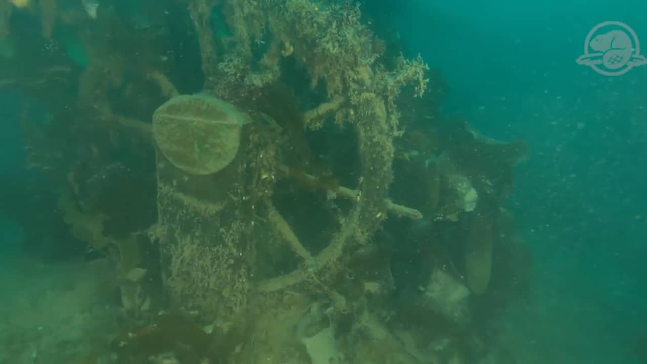 Beeld uit video: Eerste beelden van in 1845 mysterieus verdwenen oorlogsschip bij Canada