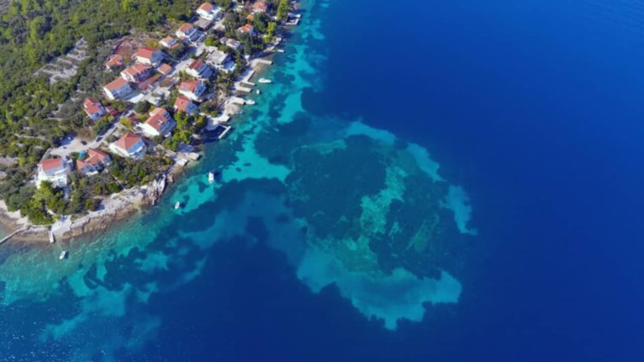 Archaeologists discover a 7,000-year-old road under the bottom of the Adriatic Sea |  Science