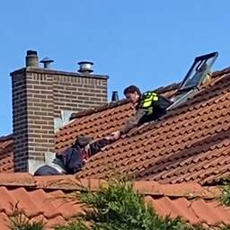 Video | Politie redt oudere man die aan dak in Naaldwijk hangt