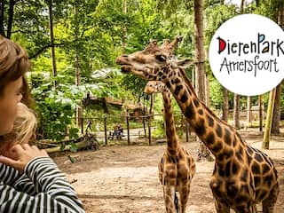 Bestel tickets voor dierenpark Amersfoort van €28,50 voor €22,00