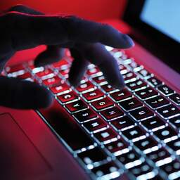 Oekraïense overheidswebsites platgelegd door hackers