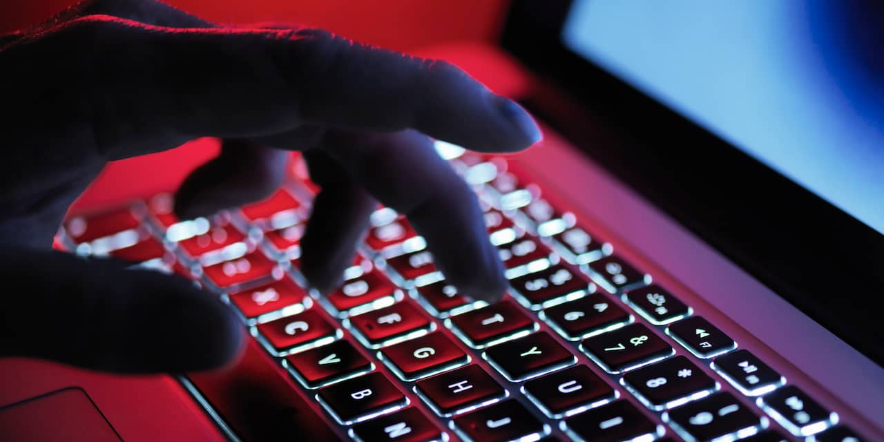 Oekraïense overheidswebsites platgelegd door hackers