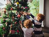 Kwekers: Prijs kerstbomen stijgt komende jaren door droogte