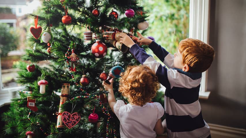 Kerstboomverkopers verwachten dit jaar grotere afzet kerstbomen