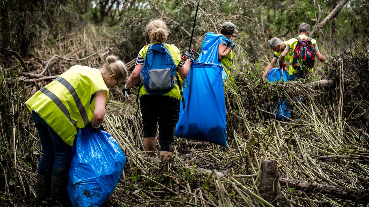Tientallen vrijwilligers helpen mee om de Limburgse natuur weer schoon te krijgen.