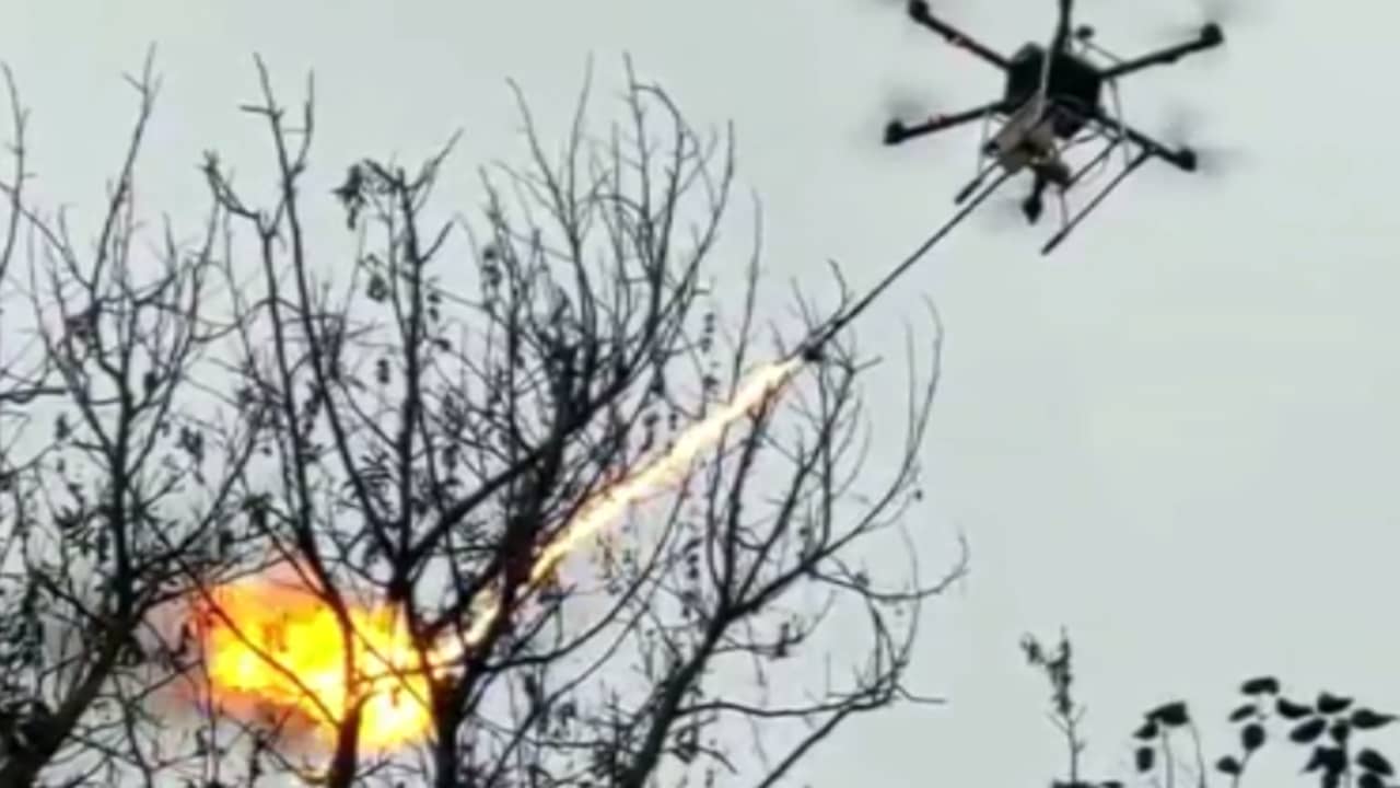 Beeld uit video: Drone met vlammenwerper verschroeit wespennesten in China