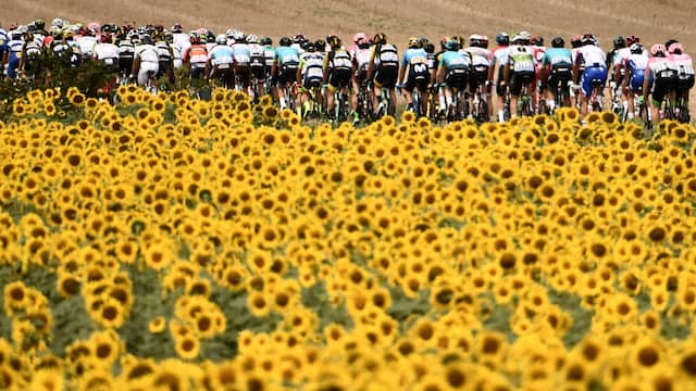 Alles over de Tour de France