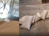 Liefst 520 kilo cocaïne met straatwaarde van 39 miljoen onderschept in haven