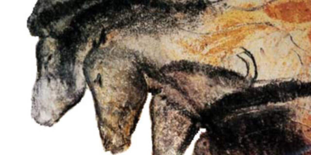 Prehistorische grotschilderingen uit grot van Chauvet te bekijken in VR