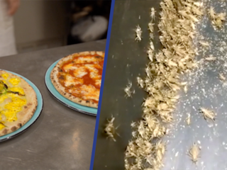 Pizzeria in Bologna serveert pizza van krekelmeel