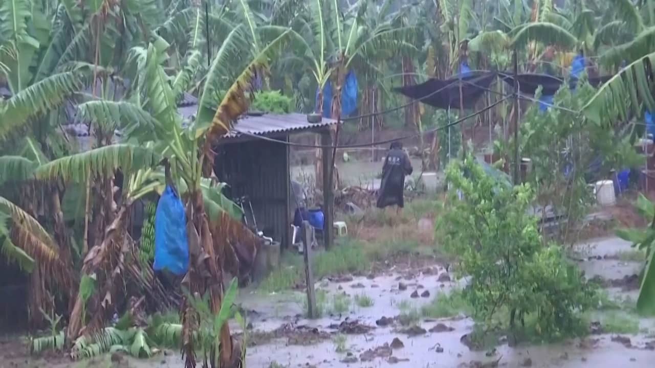 Beeld uit video: Tyfoon Bailu brengt schade aan bomen en auto's in China