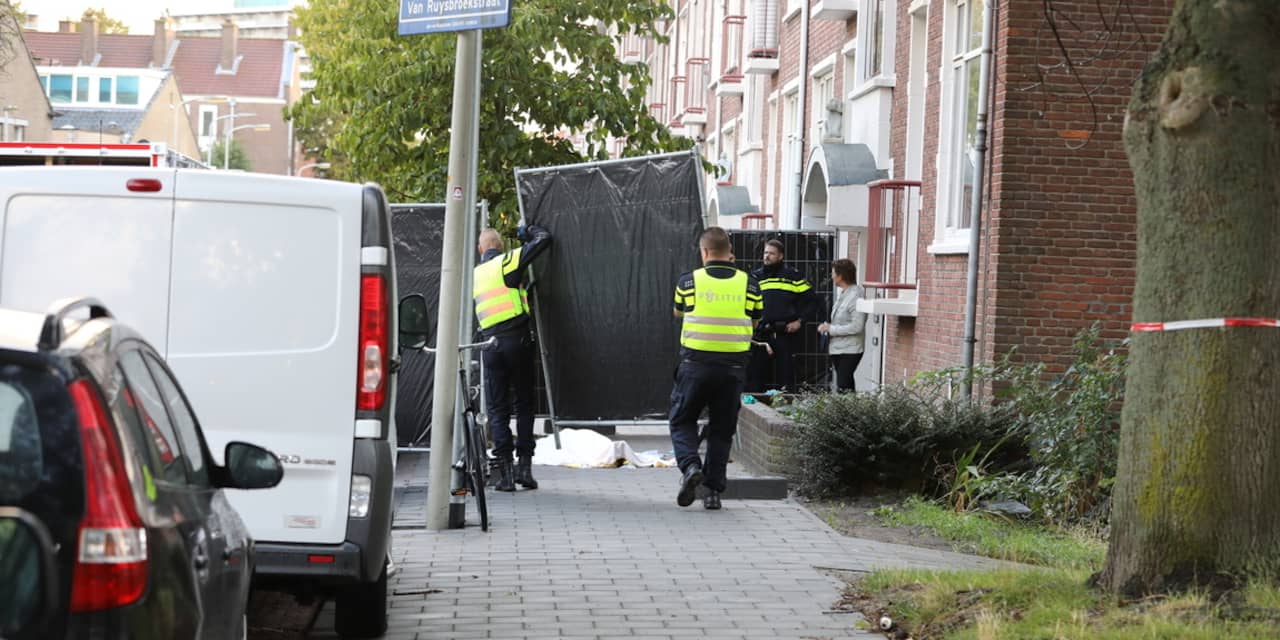 Gevonden overleden vrouw op straat in Den Haag stierf natuurlijke dood