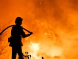 Dinsdag 5 december: Een brandweerman probeert een grote natuurbrand in het Amerikaanse Californië te blussen. 27.000 mensen moesten door de brand evacueren.