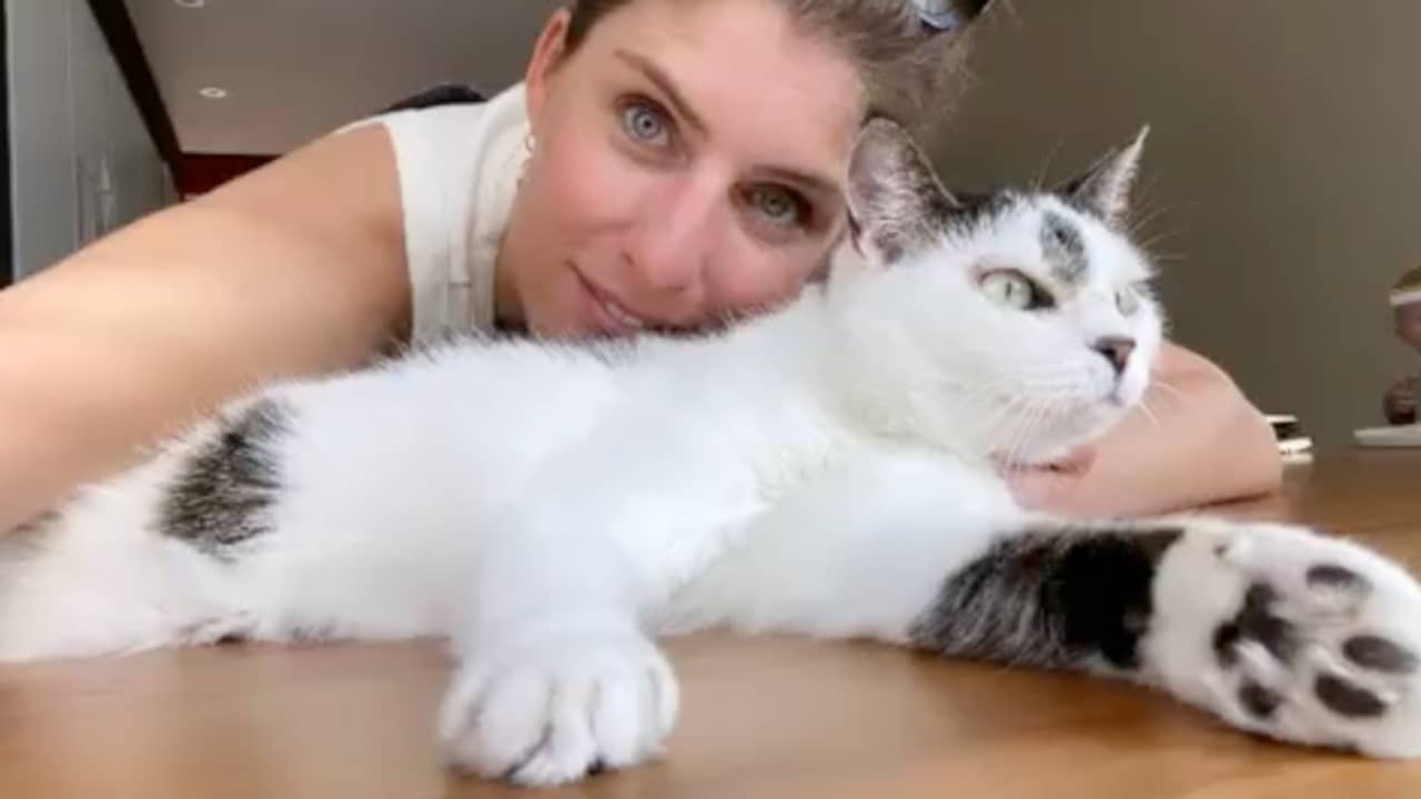 Presenter Marieke Elsinga Reunites with Missing Pet Cat Kiki: Heartwarming Homecoming!