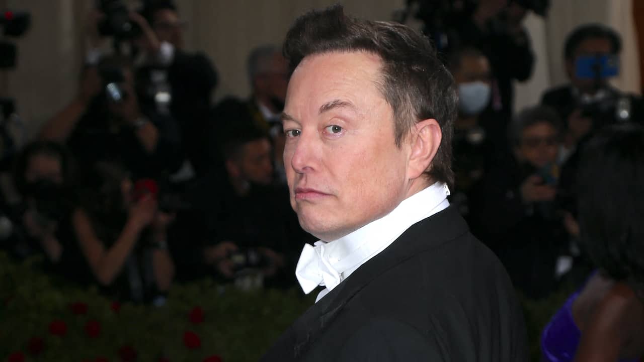 Elon Musk secretly fathered twins last year |  NOW