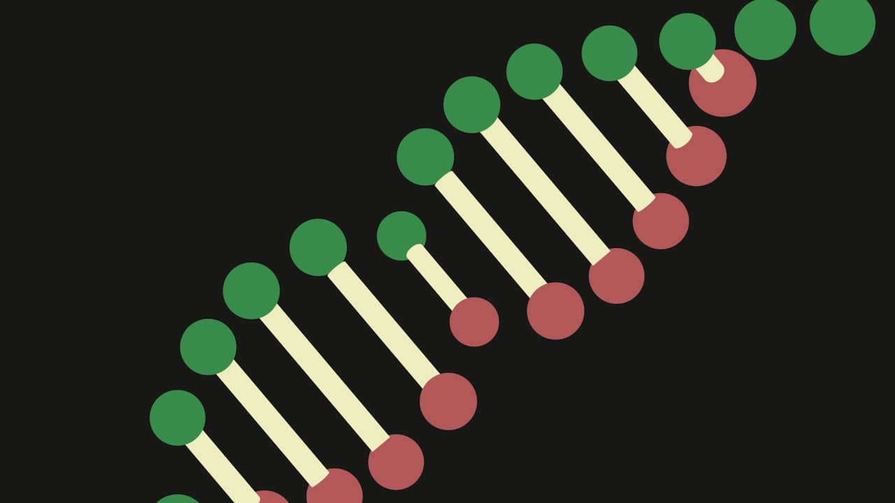 Beeld uit video: Zo werkt een DNA-verwantschapsonderzoek