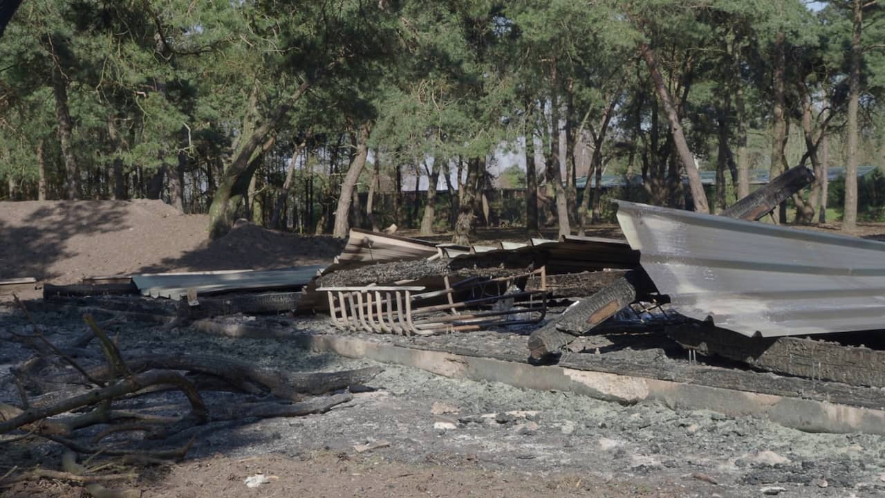Beeld uit video: Buitenverblijven in Safaripark Beekse Bergen uitgebrand