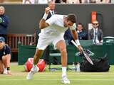 Del Potro kwartfinalist op Wimbledon, Kerber en Ostapenko naar laatste vier