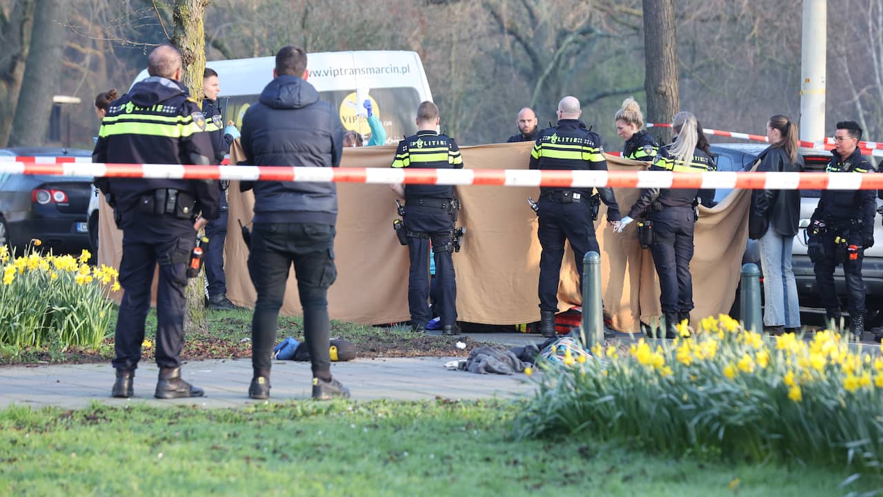 Dode Door Steekpartij In Den Haag, Ander Slachtoffer Zwaargewond ...