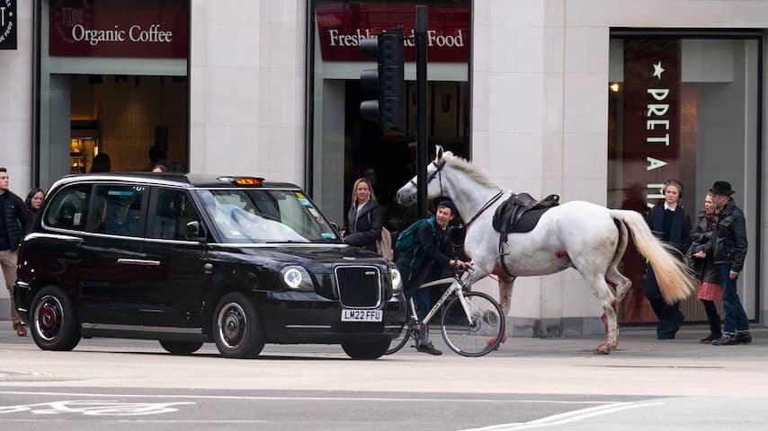 Twee paarden die woensdag door Londen renden verkeren in ernstige toestand