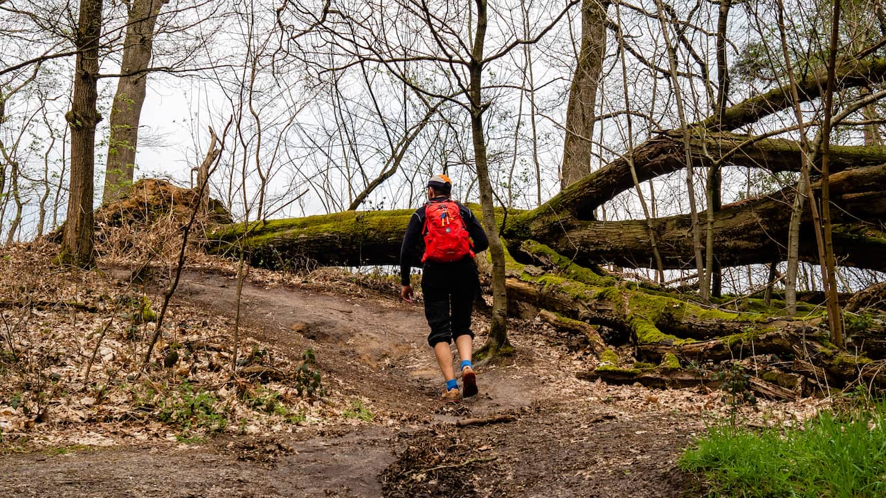 Children Discover Multiple Explosives in Brabant Woods