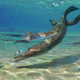 Fossiel van 200 miljoen jaar oude zeekrokodil gevonden aan de Britse kust